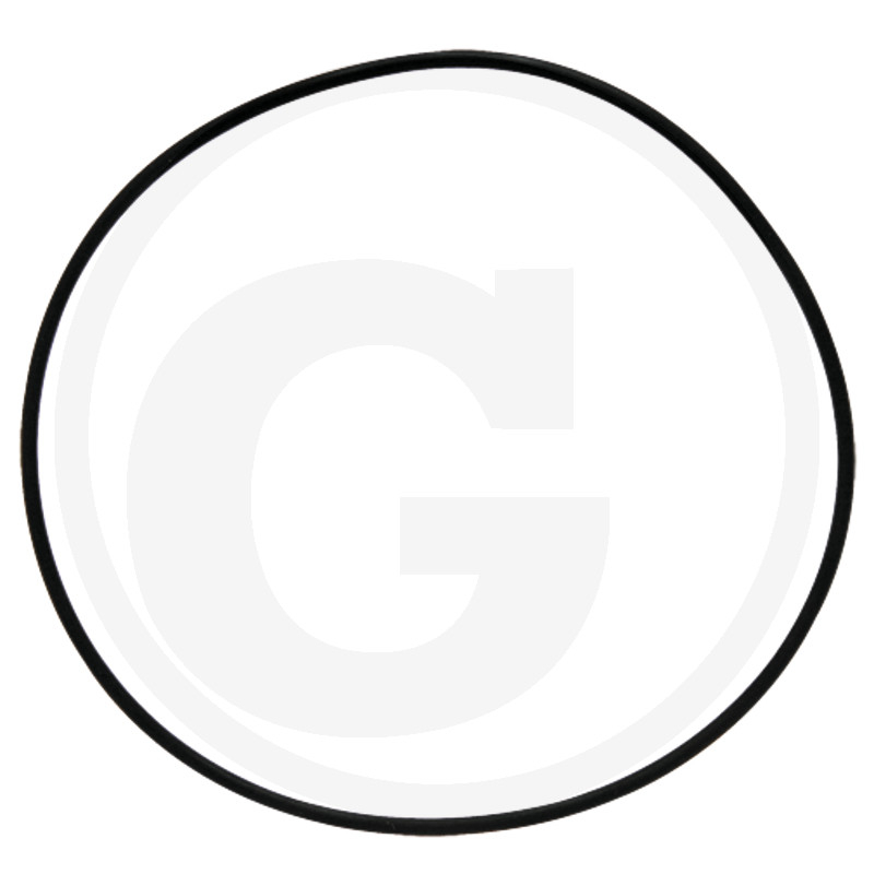 O-Ring